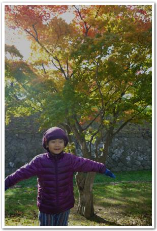 紅葉が萌える五稜郭公園　函館市