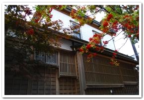 函館元町に訪れた紅葉を眺めてみた
