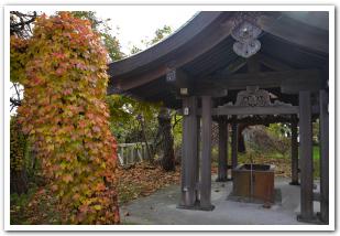函館護国神社から見下ろす函館の町
