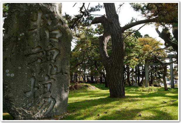 函館護国神社から見下ろす函館の町