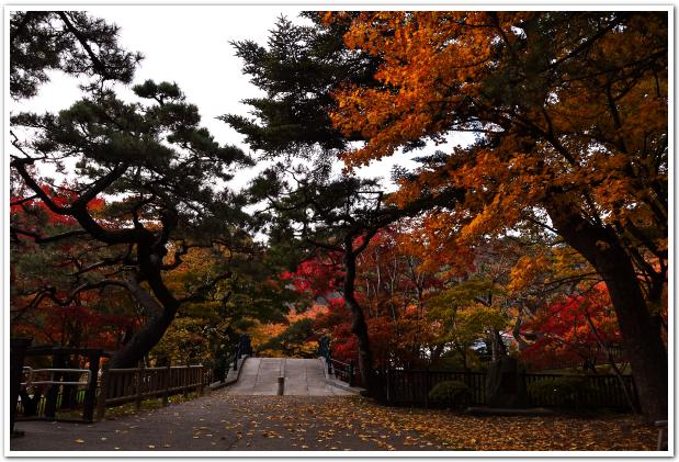 晩秋の色に染まる 函館公園を散策してみると