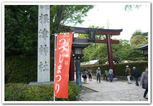 ツツジが咲き誇る！　根津神社と日本武尊