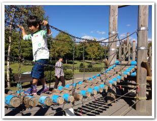 路傍の花と馬に遭遇しつつ 「息子」と函館昭和公園