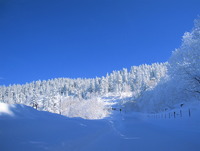 冬のカミホロ荘