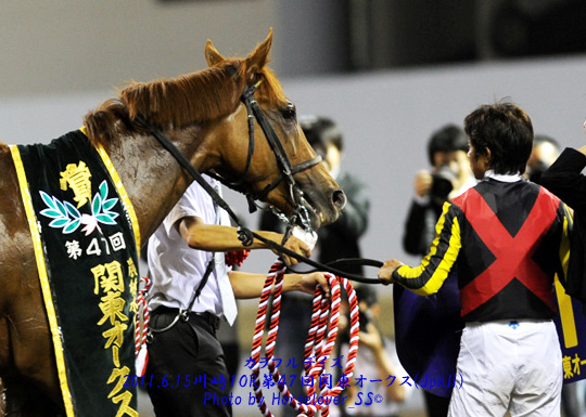 第４７回関東オークス(JpnII)　カラフルデイズ