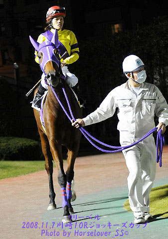 川崎ジョッキーズカップ - 出走馬