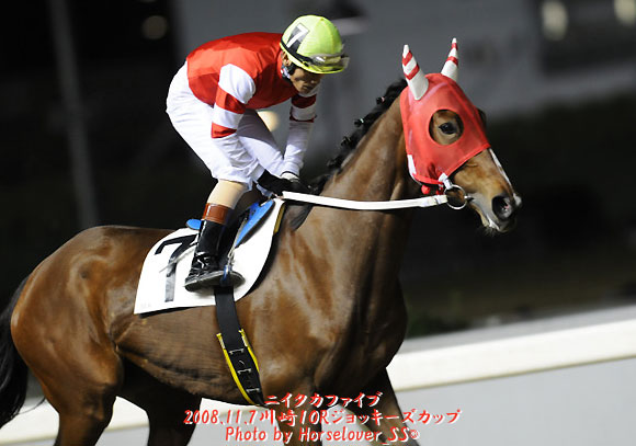 川崎ジョッキーズカップ - 出走馬