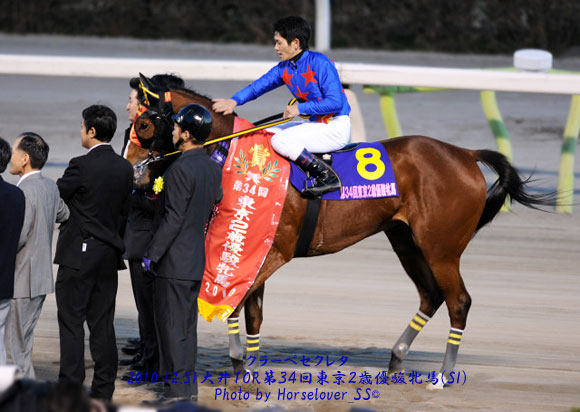 第３４回東京２歳優駿牝馬(SI)　クラーベセクレタ