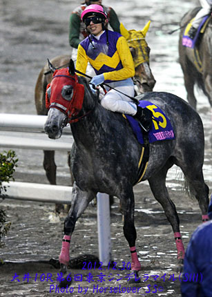 ミヤサンキューティ　第６回東京シンデレラマイル優勝