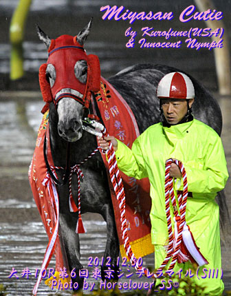 ミヤサンキューティ　第６回東京シンデレラマイル優勝