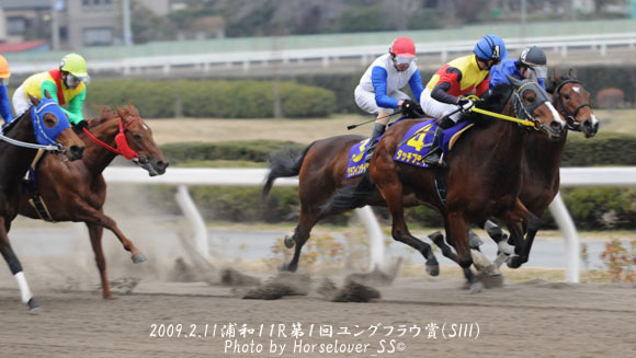 第１回 ユングフラウ賞(SIII) - レース写真