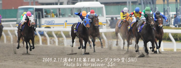 第１回 ユングフラウ賞(SIII) - レース写真