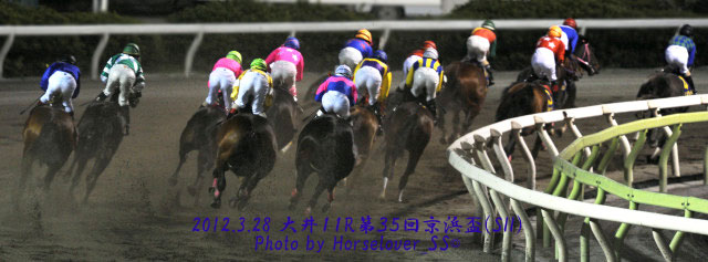 第３５回京浜盃(SII)　レース写真