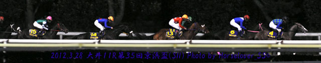 第３５回京浜盃(SII)　レース写真