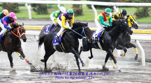 第２６回東京湾カップ(SIII)　レース写真