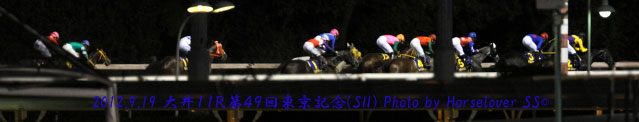 第４９回東京記念(SII)　レース写真