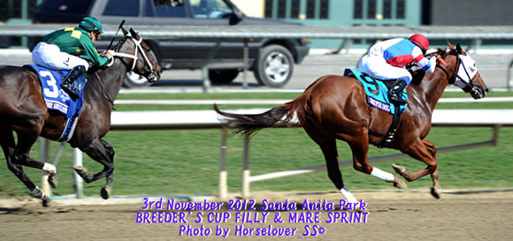BC 2012 FILLY & MARE SPRINT