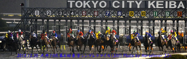 第６回東京シンデレラマイル(SIII)　レース写真