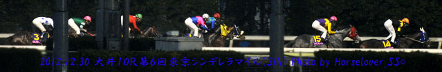 第６回東京シンデレラマイル(SIII)　レース写真