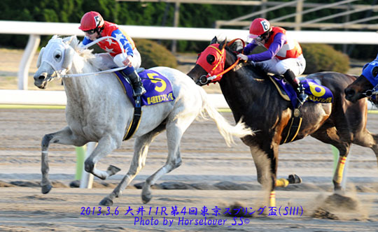 第４回東京スプリング盃(SIII)　レース写真