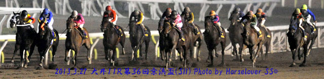 第３６回京浜盃(SII)　レース写真