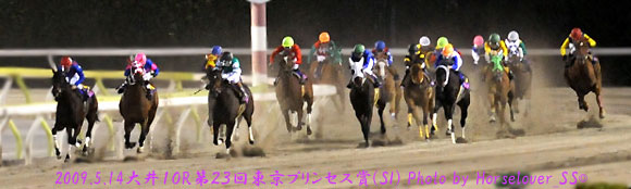 第２３回東京プリンセス賞(SI) - レース写真最後の直線