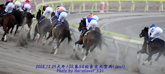 第５４回東京大賞典(JpnI) - レース写真