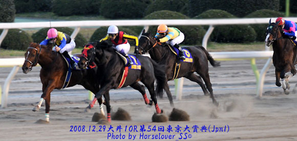第５４回東京大賞典(JpnI) - レース写真