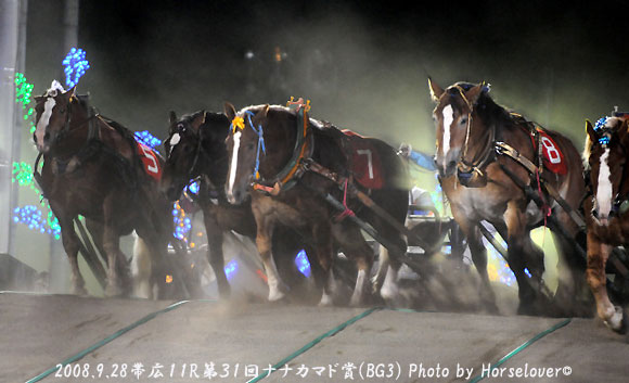 第３１回ナナカマド賞(BG3) - レース写真
