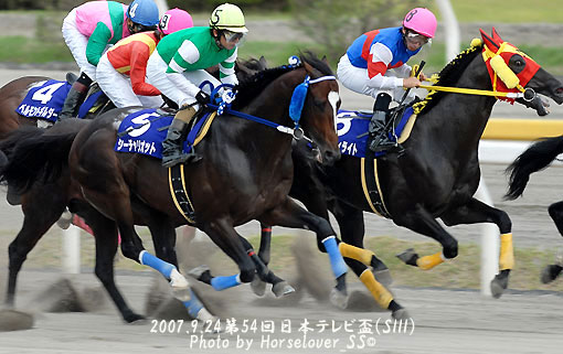 第54回 日本テレビ盃(SIII) - レース写真