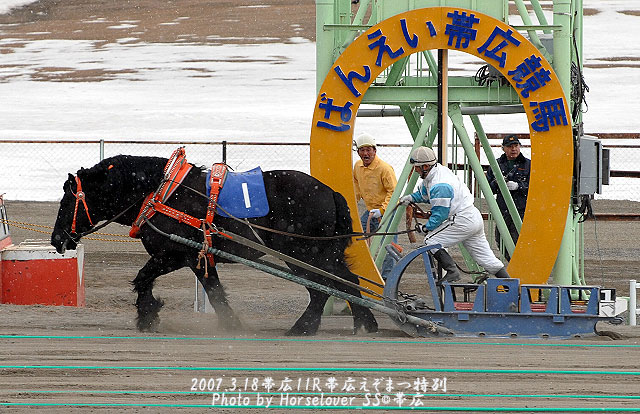 ホシマツリ- 帯広えぞまつ特別