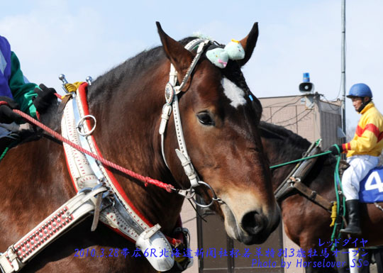 可愛い髪飾り～帯広１１Ｒポテト特別+１０ＲＡ１決勝