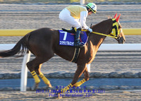 第３４回東京２歳優駿牝馬(SI)+おおとりオープン