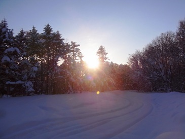 真冬の野幌森林公園