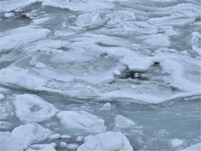 流氷接岸　の巻