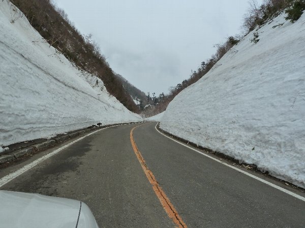 ベタ凪っ! ベタ凪っ!