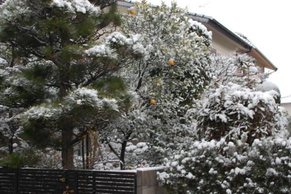 雪の日
