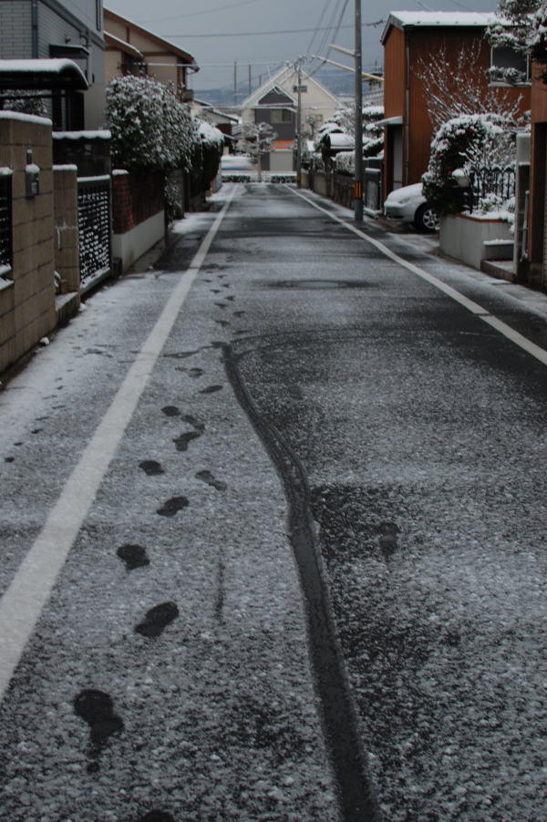 雪の日
