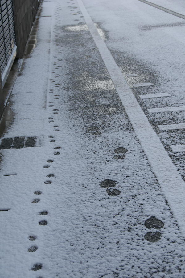 雪