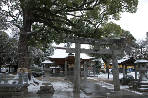 雪