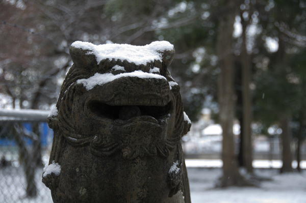 雪