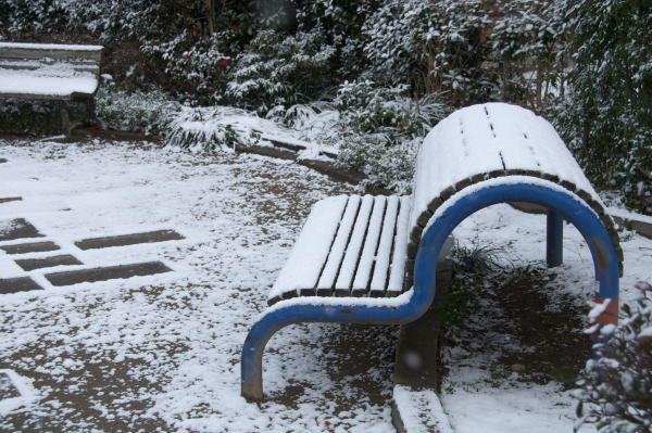 雪