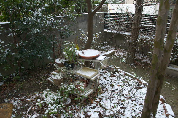 雪