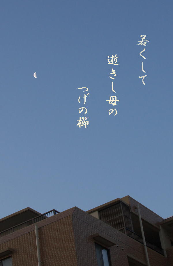 フォト575