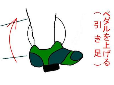 SPDインプレッション