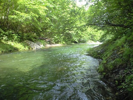 久々の晴天だし 山っつっても風強いから やっぱ釣りでしょ