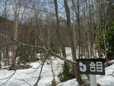 徳舜瞥山(1309m)で道迷い?!