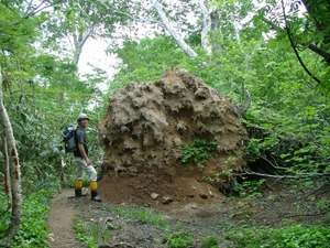 23日・積丹岳(1255.3m)登山