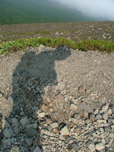 樽前山(東山:1023.1m)