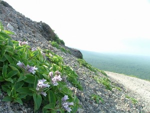樽前山(東山:1023.1m)
